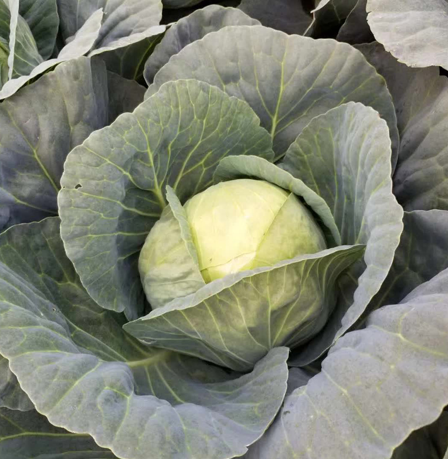 upload/20240813140939.jpg